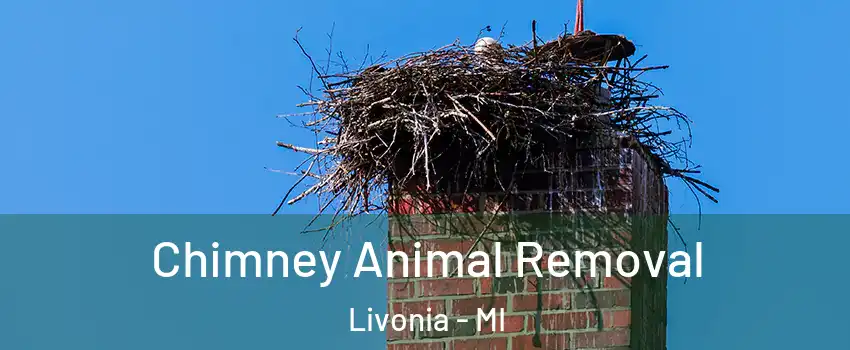 Chimney Animal Removal Livonia - MI
