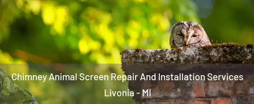  Chimney Animal Screen Repair And Installation Services Livonia - MI