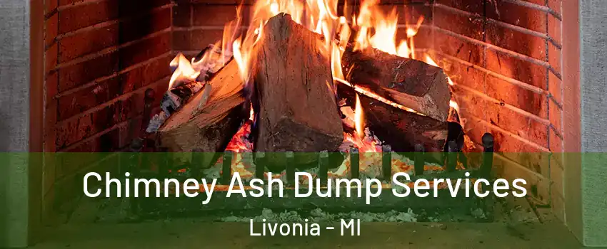  Chimney Ash Dump Services Livonia - MI