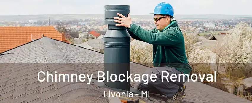  Chimney Blockage Removal Livonia - MI