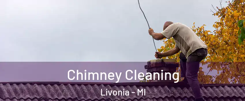  Chimney Cleaning Livonia - MI
