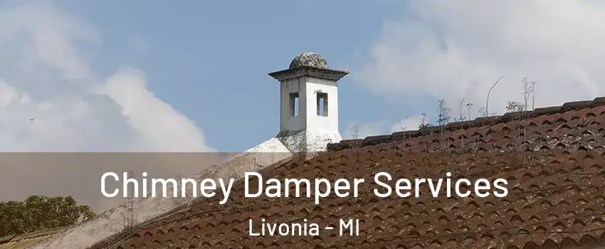  Chimney Damper Services Livonia - MI