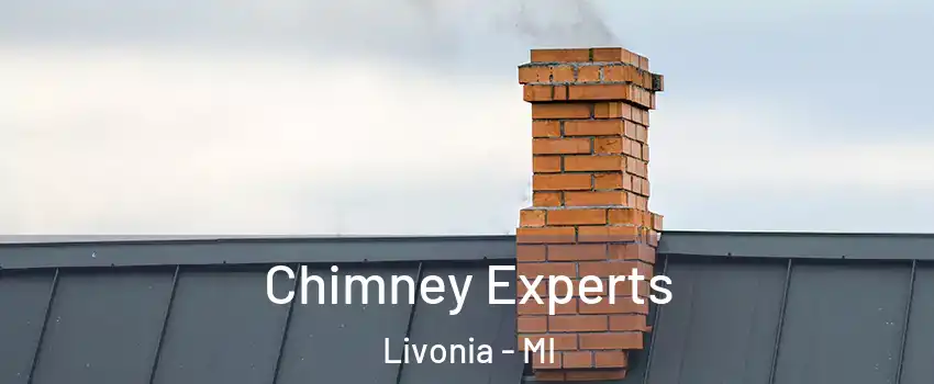  Chimney Experts Livonia - MI