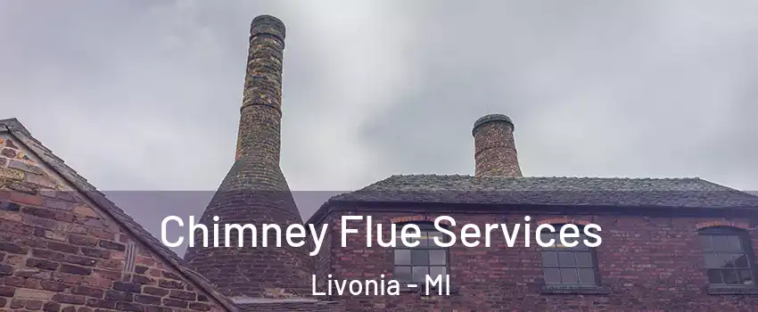  Chimney Flue Services Livonia - MI