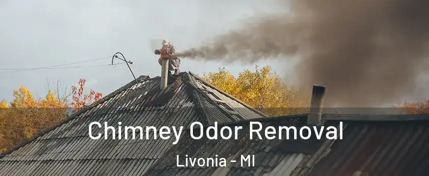  Chimney Odor Removal Livonia - MI