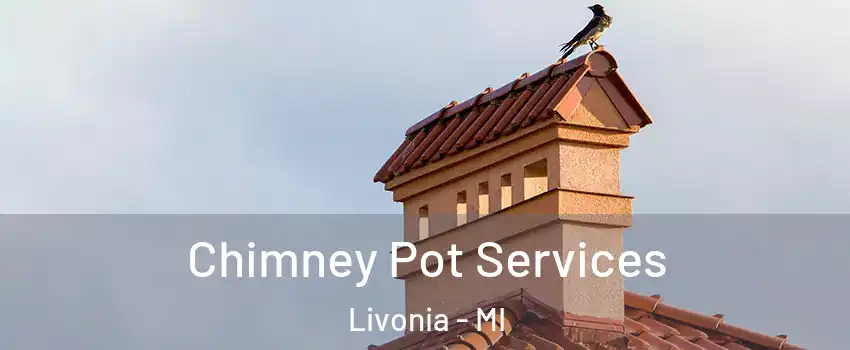  Chimney Pot Services Livonia - MI