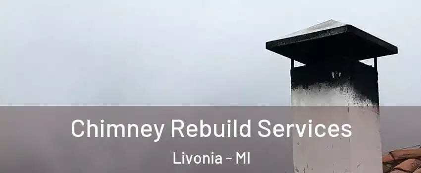  Chimney Rebuild Services Livonia - MI