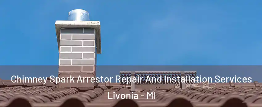  Chimney Spark Arrestor Repair And Installation Services Livonia - MI