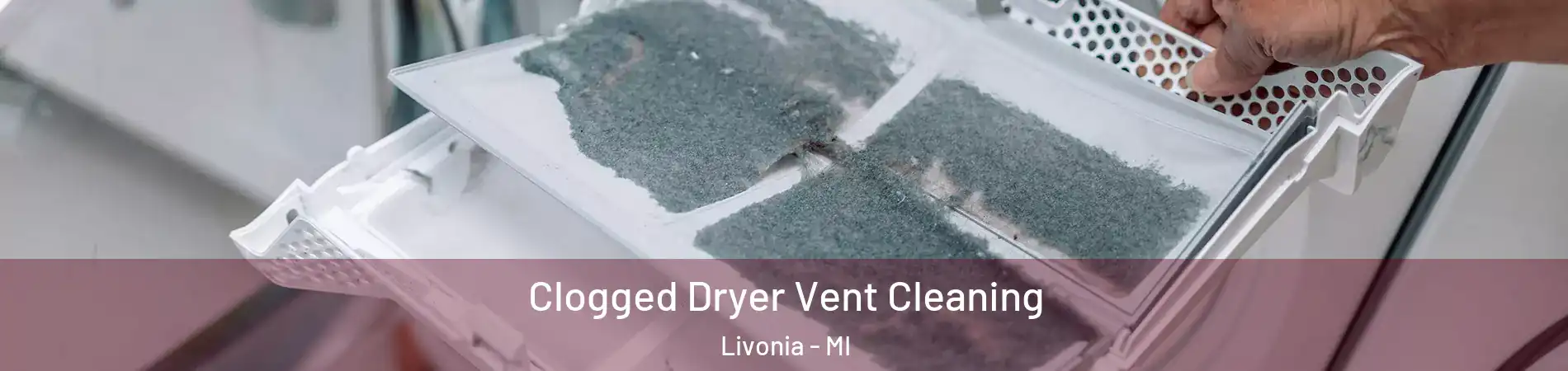  Clogged Dryer Vent Cleaning Livonia - MI