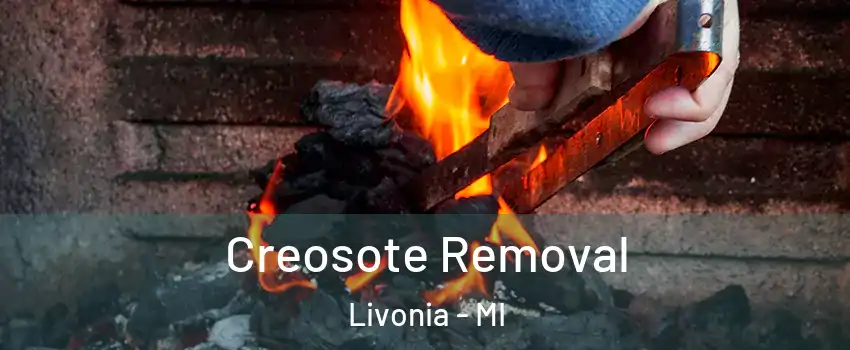  Creosote Removal Livonia - MI