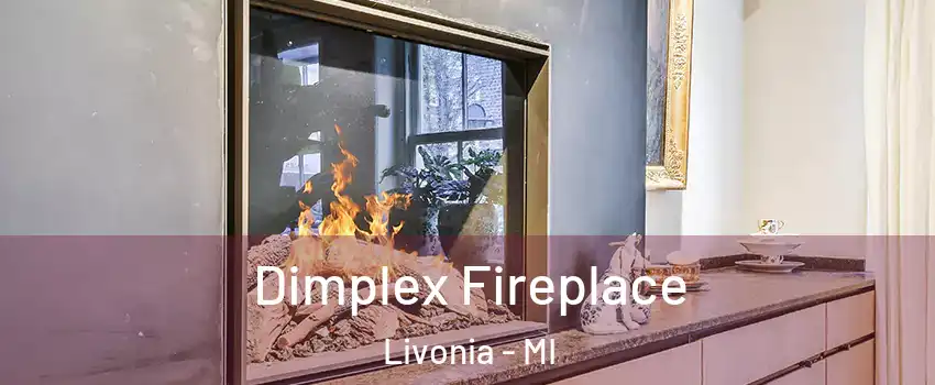  Dimplex Fireplace Livonia - MI