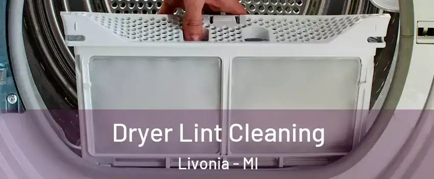  Dryer Lint Cleaning Livonia - MI