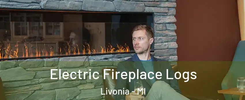  Electric Fireplace Logs Livonia - MI
