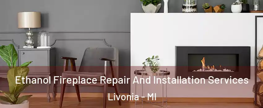  Ethanol Fireplace Repair And Installation Services Livonia - MI