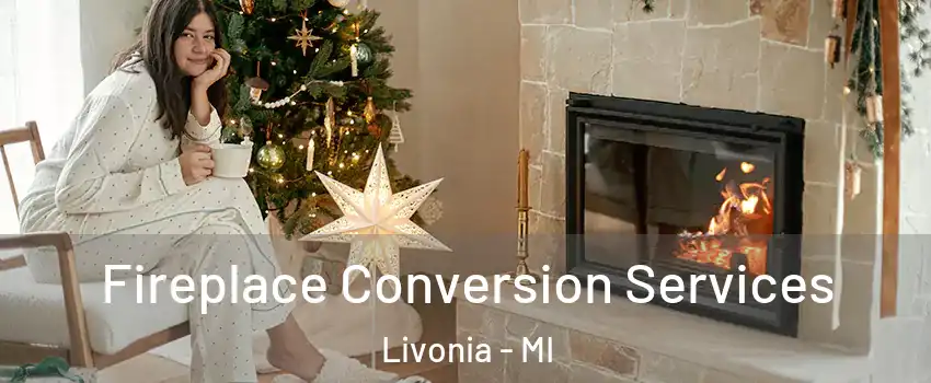 Fireplace Conversion Services Livonia - MI