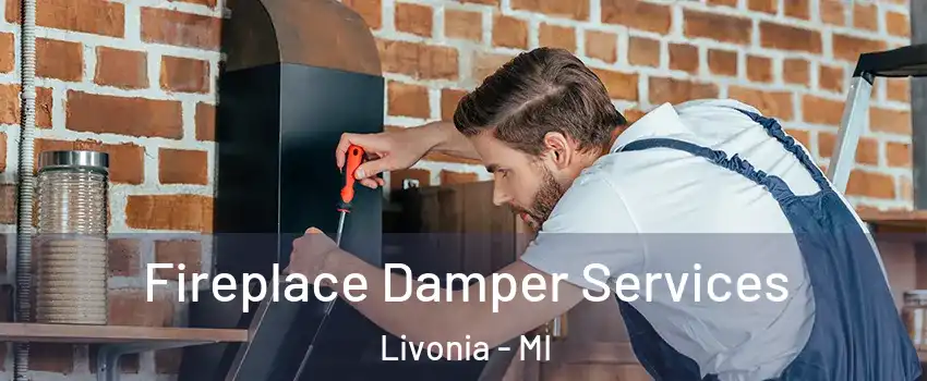  Fireplace Damper Services Livonia - MI