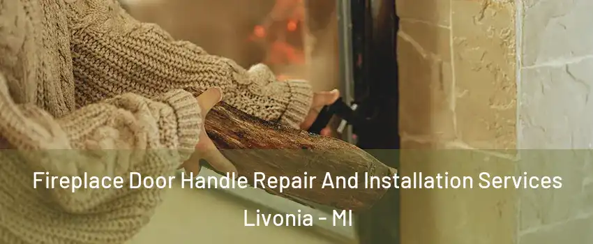  Fireplace Door Handle Repair And Installation Services Livonia - MI