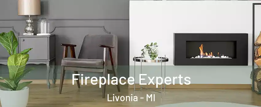  Fireplace Experts Livonia - MI