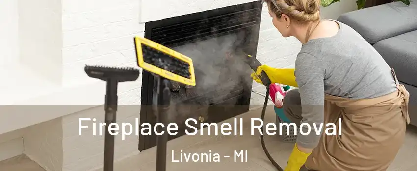  Fireplace Smell Removal Livonia - MI