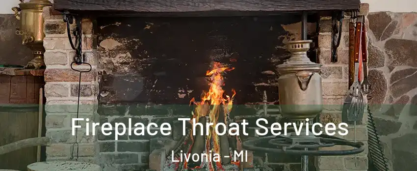  Fireplace Throat Services Livonia - MI