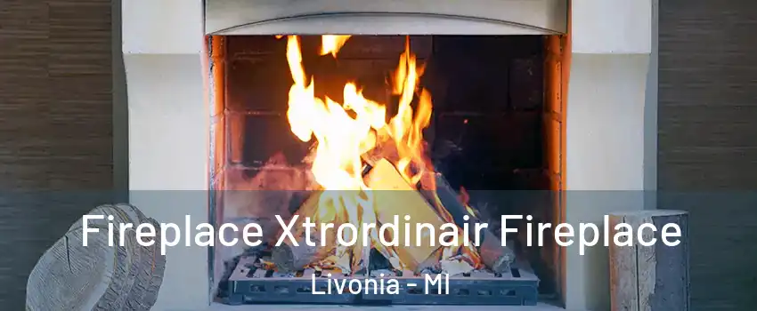  Fireplace Xtrordinair Fireplace Livonia - MI
