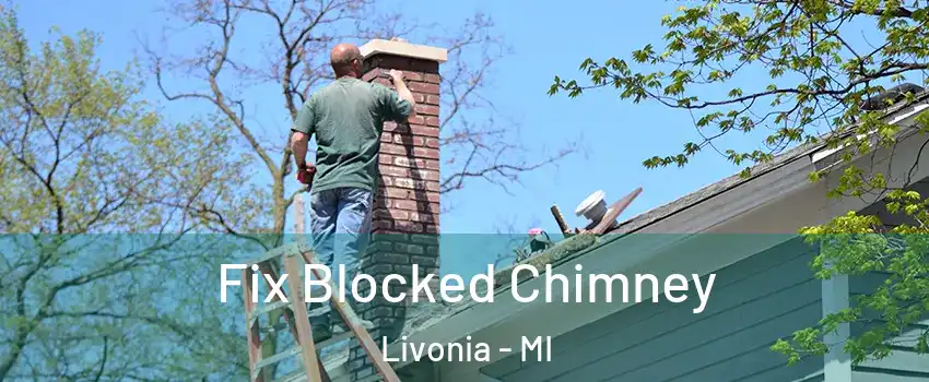  Fix Blocked Chimney Livonia - MI