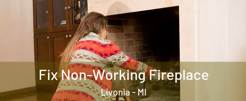  Fix Non-Working Fireplace Livonia - MI