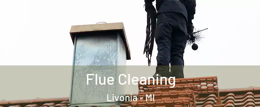  Flue Cleaning Livonia - MI