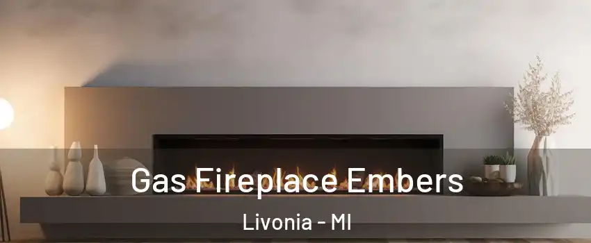  Gas Fireplace Embers Livonia - MI