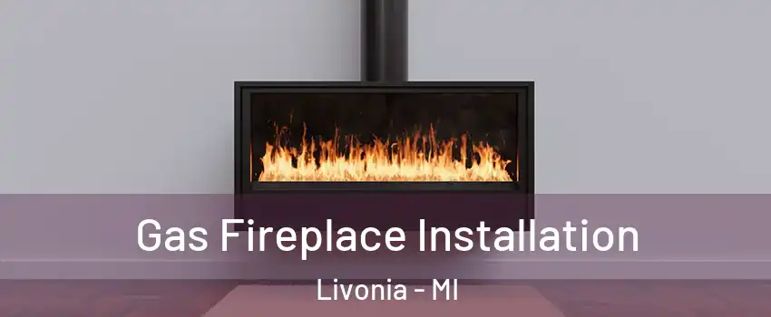  Gas Fireplace Installation Livonia - MI