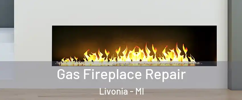  Gas Fireplace Repair Livonia - MI