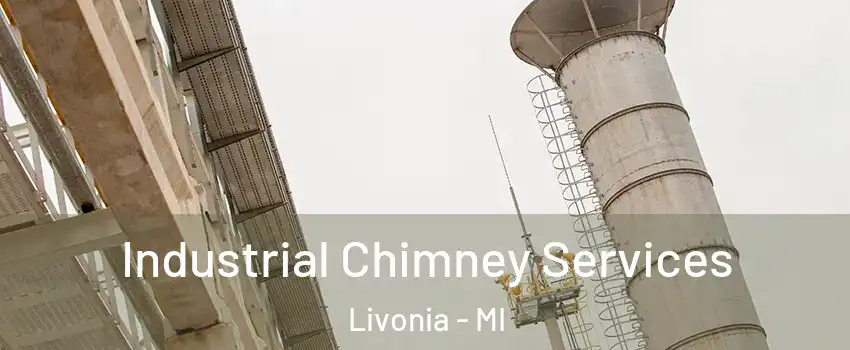  Industrial Chimney Services Livonia - MI