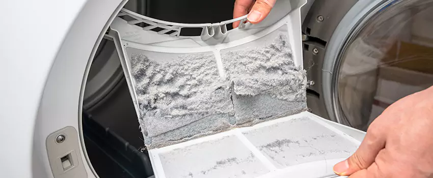 Best Dryer Lint Removal Company in Livonia, Michigan