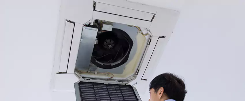 Benefits of Professional Air Duct Cleaning in Livonia, Michigan
