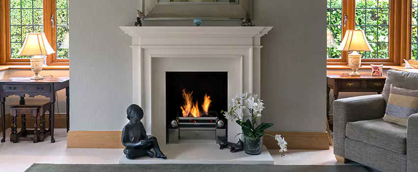 Astria Open-Hearth Wood Fireplaces Services in Livonia, MI