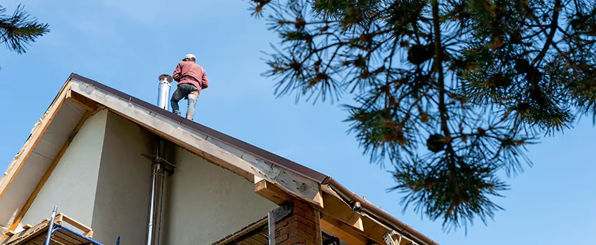 Birds Removal Contractors from Chimney in Livonia, MI