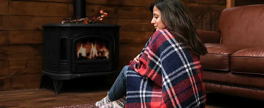 Fireplace Firebox Grate Replacement Services  in Livonia, Michigan