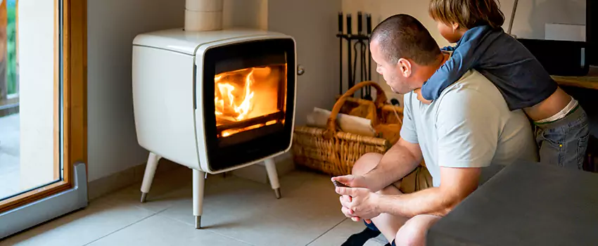 Fireplace Flue Maintenance Services in Livonia, MI