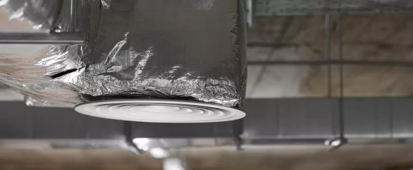 Signs of Dust Accumulation in Vents in Livonia, MI