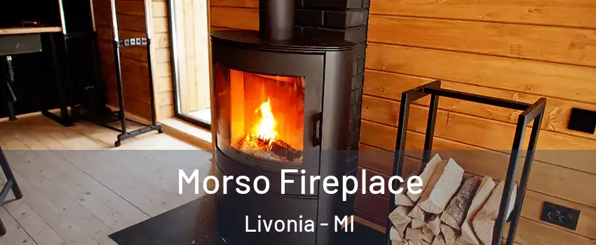  Morso Fireplace Livonia - MI