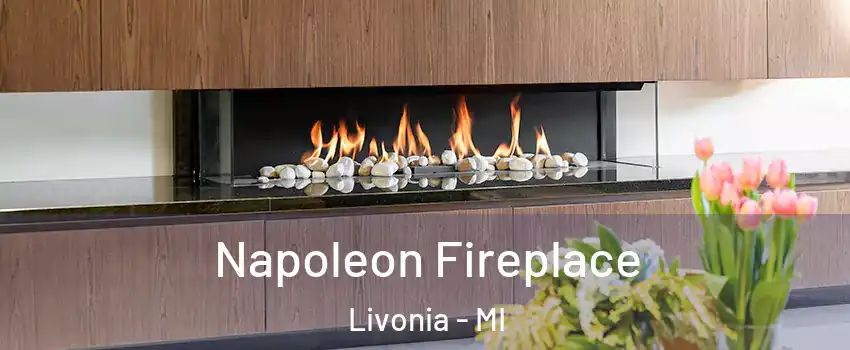  Napoleon Fireplace Livonia - MI