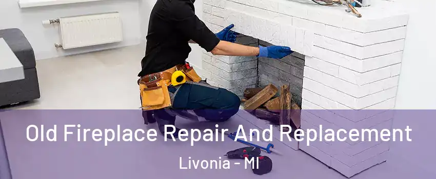  Old Fireplace Repair And Replacement Livonia - MI