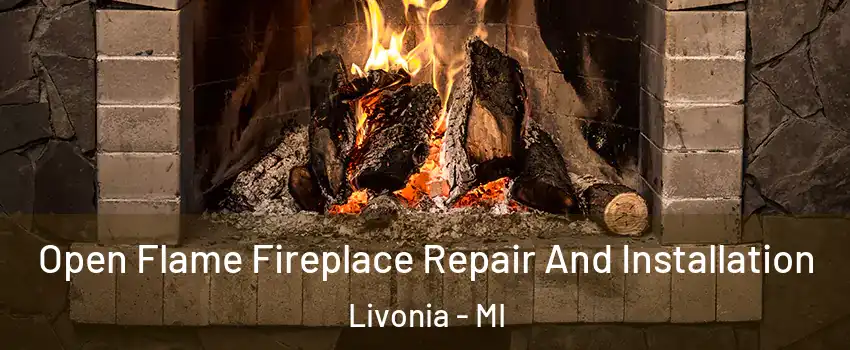  Open Flame Fireplace Repair And Installation Livonia - MI