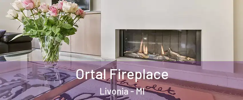  Ortal Fireplace Livonia - MI