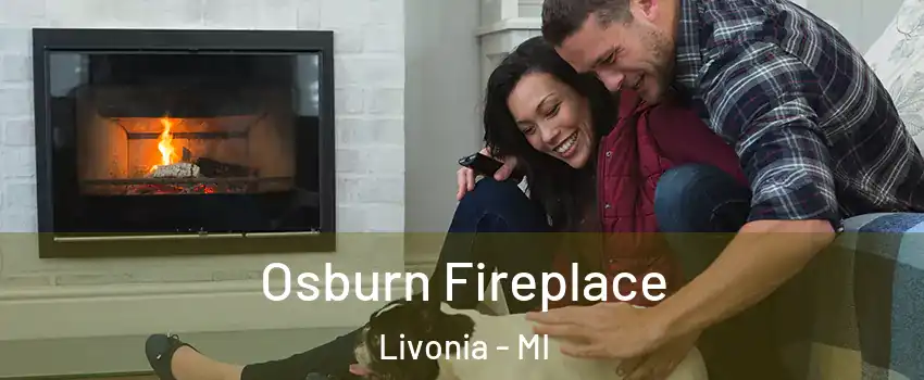  Osburn Fireplace Livonia - MI