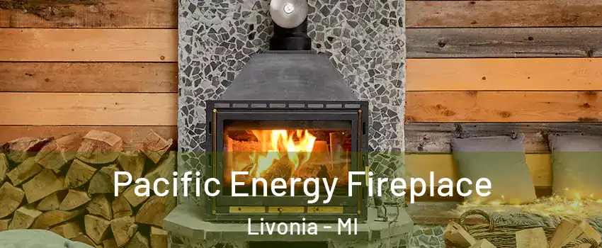  Pacific Energy Fireplace Livonia - MI