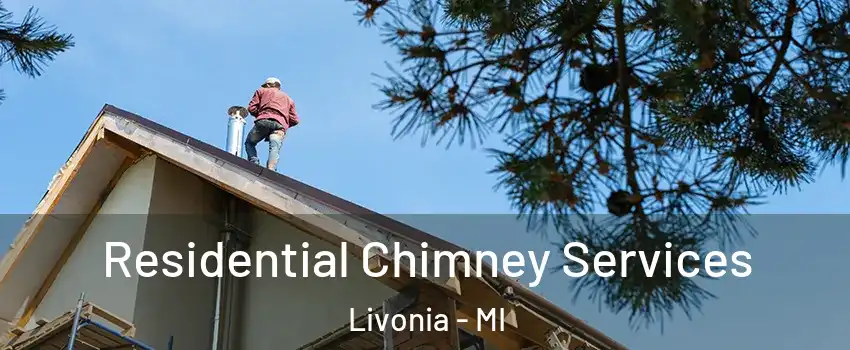  Residential Chimney Services Livonia - MI