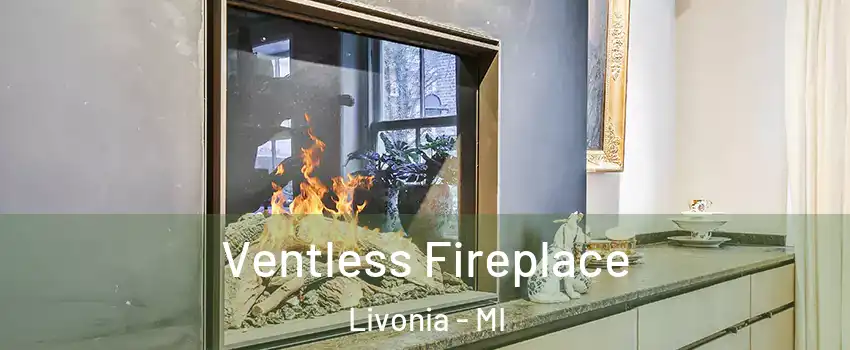  Ventless Fireplace Livonia - MI